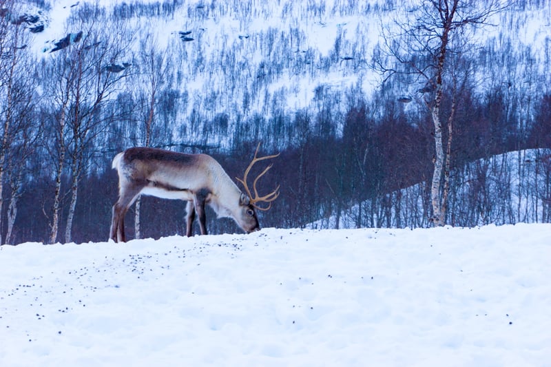 Notisum_warren-sammut-271318-unsplash-1small
